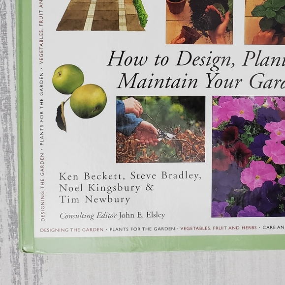 Gardening Basics: How to design ... - Picture 2 of 11